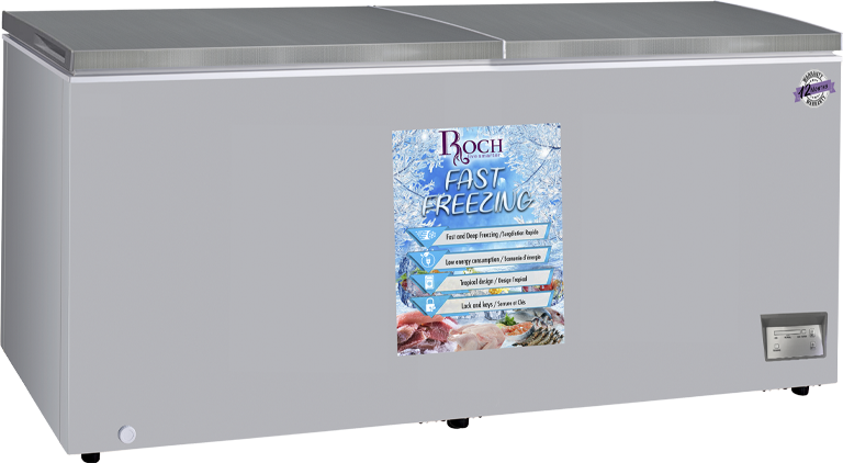 ROCH RCF-600-G Chest Freezer – 600L Dual Door, Heavy-Duty Grey